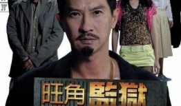 旺角监狱国语在线观看,揭秘香港监狱风云